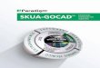 SKUA-GOCAD Modelado Integrado del Subsuelo