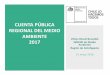 CUENTA PÚBLICA REGIONAL DEL MEDIO AMBIENTE 2017 …