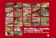 Anfibis rèptils i mamífers