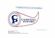 Central Piping Ltda. 2017