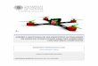Diseño de un prototipo ultraligero de dron de chasis plano 