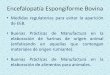 Encefalopatía Espongiforme Bovina