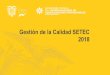 Gestión de la Calidad SETEC 2018 - CEPAL