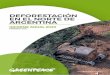 Deforestación en el norte de Argentina Informe Anual 2020