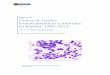 Cáncer de tejidos hematopoyéticos y linfoides en Bizkaia 