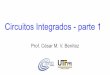 Circuitos Integrados - parte 1 Prof. César M. V. Benítez