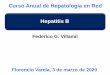 Curso Anual de Hepatología en Red Hepatitis B