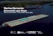 Marina Mercante: Economía que ﬂuye