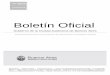Boletín Oficial - Buenos Aires