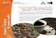 Fermentación controlada del café: agregar valor a la calidad