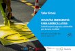 Taller Virtual: CICLOVÍAS EMERGENTES PARA AMÉRICA LATINA