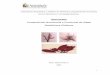 Monografía Composición Nutricional y Funcional de Algas 
