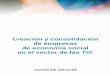Creación y consolidación de ... - Laces Economia Social