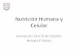 Nutrición Humana y Celular - Colegio PAZ