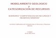 MODELAMIENTO GEOLOGICO y CATEGORIZACION DE RECURSOS