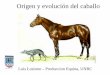 Origen y evolución del caballo - produccion animal