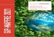 GIP-MAPFRE 2021: ÍNDICE GLOBAL DE POTENCIAL …