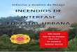 INCENDIOS DE INTERFASE - Ning