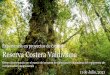 Experiencia en proyectos de carbono Reserva Costera Valdiviana