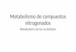 Metabolismo de compuestos nitrogenados - UABC