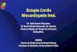 Ectopia Cordis Miocardiopatía fetal
