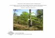 Manual de Podas para Arboles Forestales