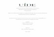 Lineamientos de tesis - UIDE