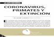 CORONAVIRUS, PRIMATES Y EXTINCIÓN