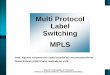 Multi Protocol Label Switching MPLS