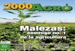 Malezas - 2000agro.com.mx
