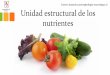 Unidad estructural de los nutrientes