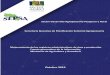 PNDIP 2019-2022 | Informe de Verificación Documental y de 