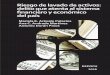 RIESGO DE LAVADO DE ACTIVOS: FINANCIERO Y ECONÓMICO …