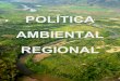 POLÍTICA AMBIENTAL REGIONAL