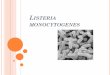 Listeria - edisciplinas.usp.br