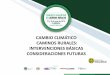 CAMBIO CLIMÁTICO CAMINOS RURALES: INTERVENCIONES …