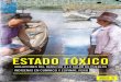 Estado tóxico, violaciones del derecho a la salud de 
