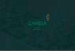 Brochure Camelia Nuevo2021
