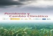 Posidonia y Cambio Climático