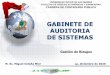 GABINETE DE AUDITORIA DE SISTEMAS - INFORMATICA