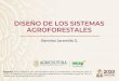 DISEÑO DE LOS SISTEMAS AGROFORESTALES - Gob