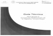 Guía Técnica - Gobierno | gob.mx