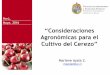Mayo, 2016 Consideraciones Agronómicas para el Cultivo del 