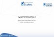 Macroeconomía I - ecotec.edu.ec