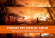 Fuego en Santa Cruz - TIERRA