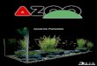 catalogo acuarios plantados azoo 2020 ca - Ideas Marinas
