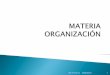 Msc Cristina Lia Organizacion 1