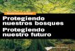 Manual técnico de Foray Protegiendo nuestros bosques 
