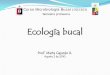 Ecología bucal - U-Cursos