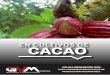 EN CULTIVOS DE CACAO - GVM